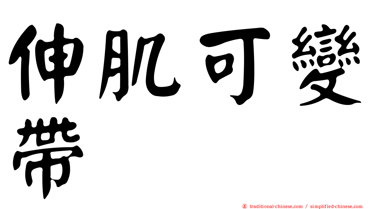 伸肌可變帶