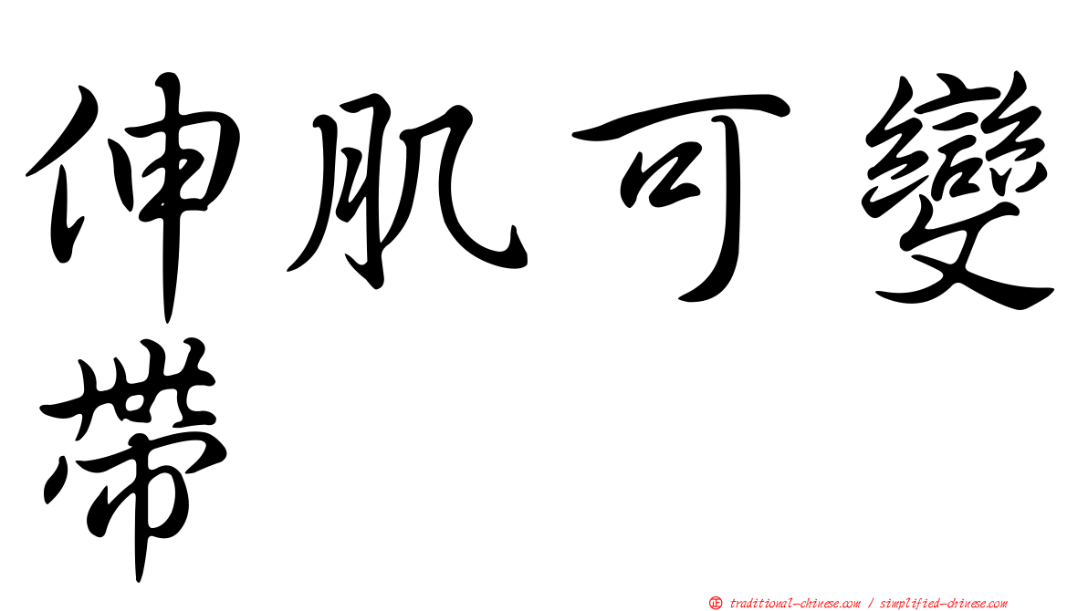 伸肌可變帶