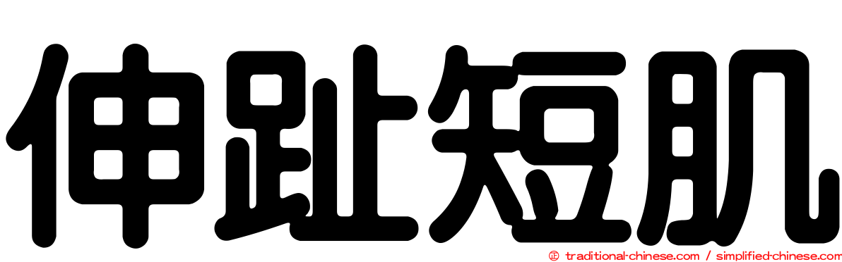 伸趾短肌