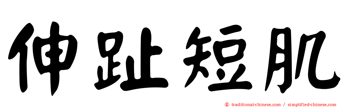 伸趾短肌
