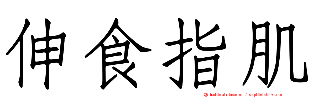 伸食指肌
