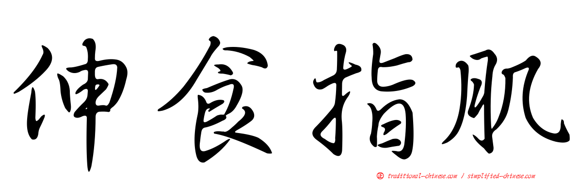 伸食指肌