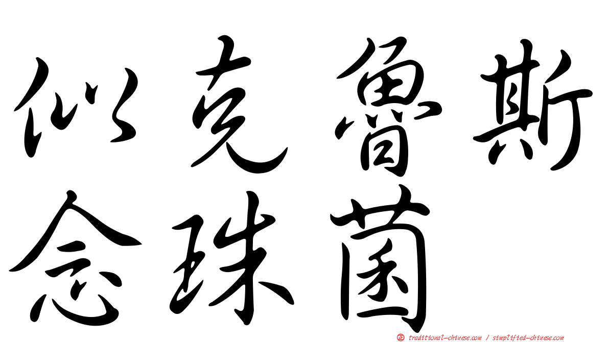 似克魯斯念珠菌
