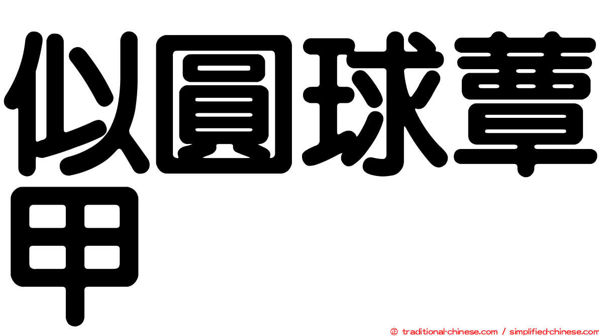 似圓球蕈甲