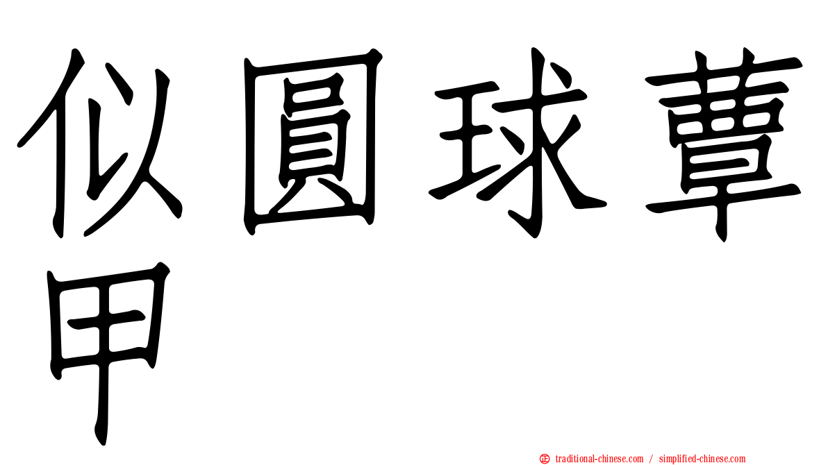 似圓球蕈甲