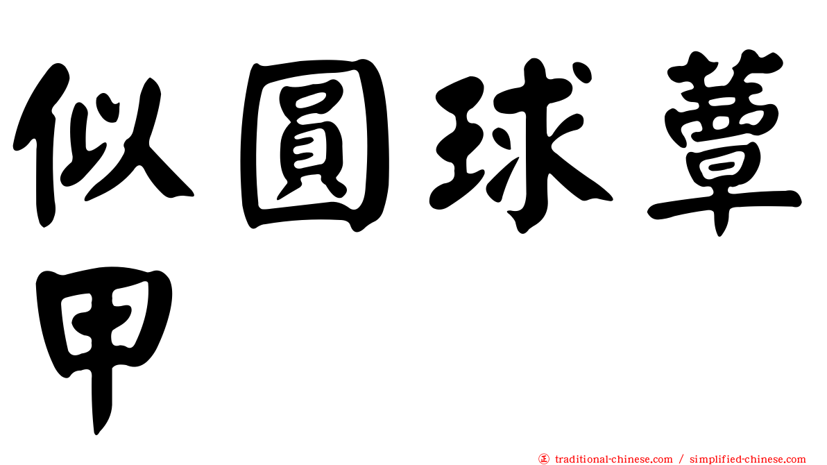 似圓球蕈甲
