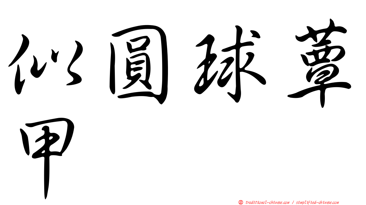 似圓球蕈甲