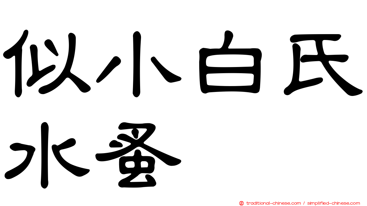 似小白氏水蚤