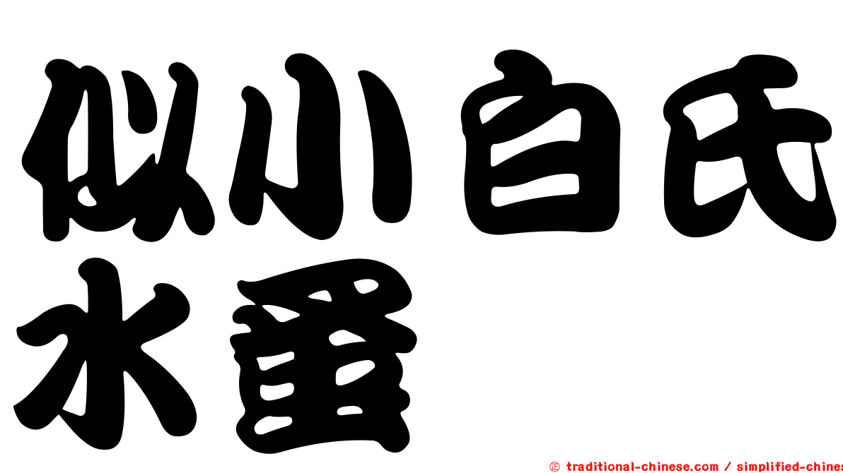 似小白氏水蚤