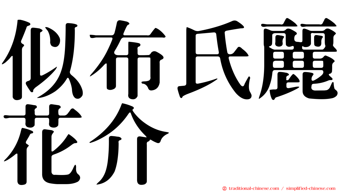 似布氏麗花介