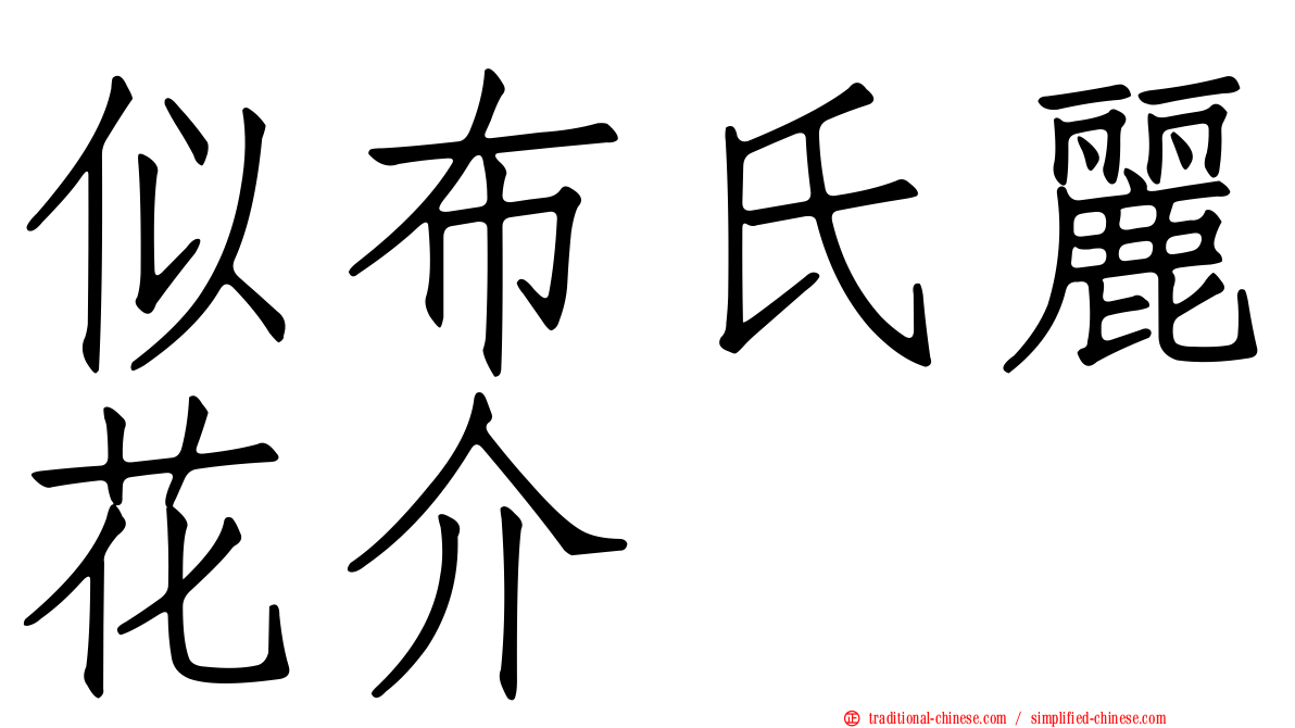 似布氏麗花介