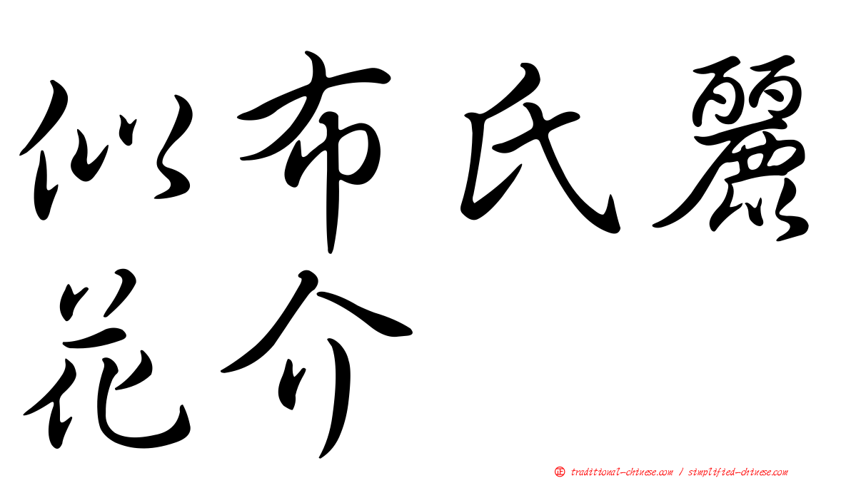 似布氏麗花介