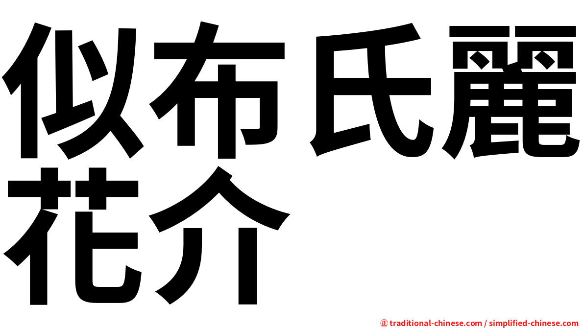 似布氏麗花介