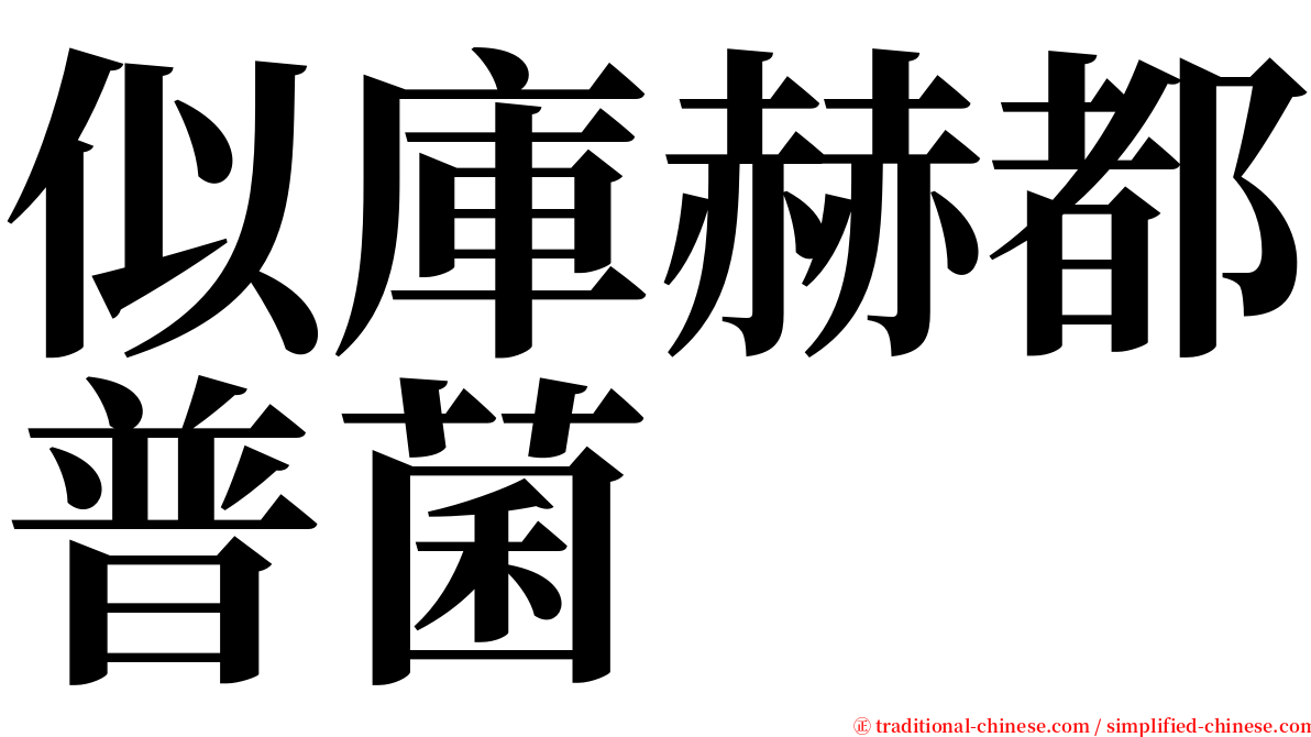 似庫赫都普菌 serif font