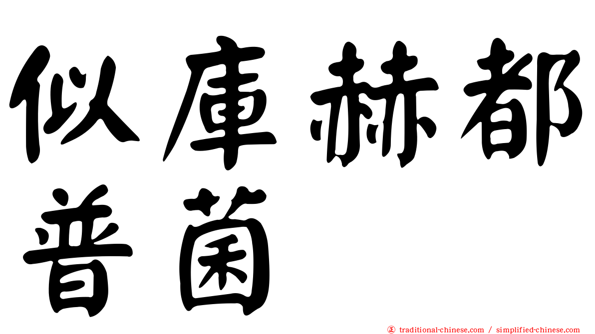 似庫赫都普菌