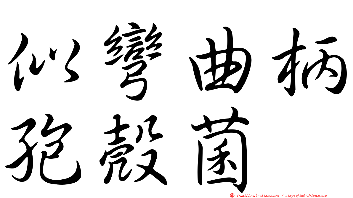 似彎曲柄孢殼菌