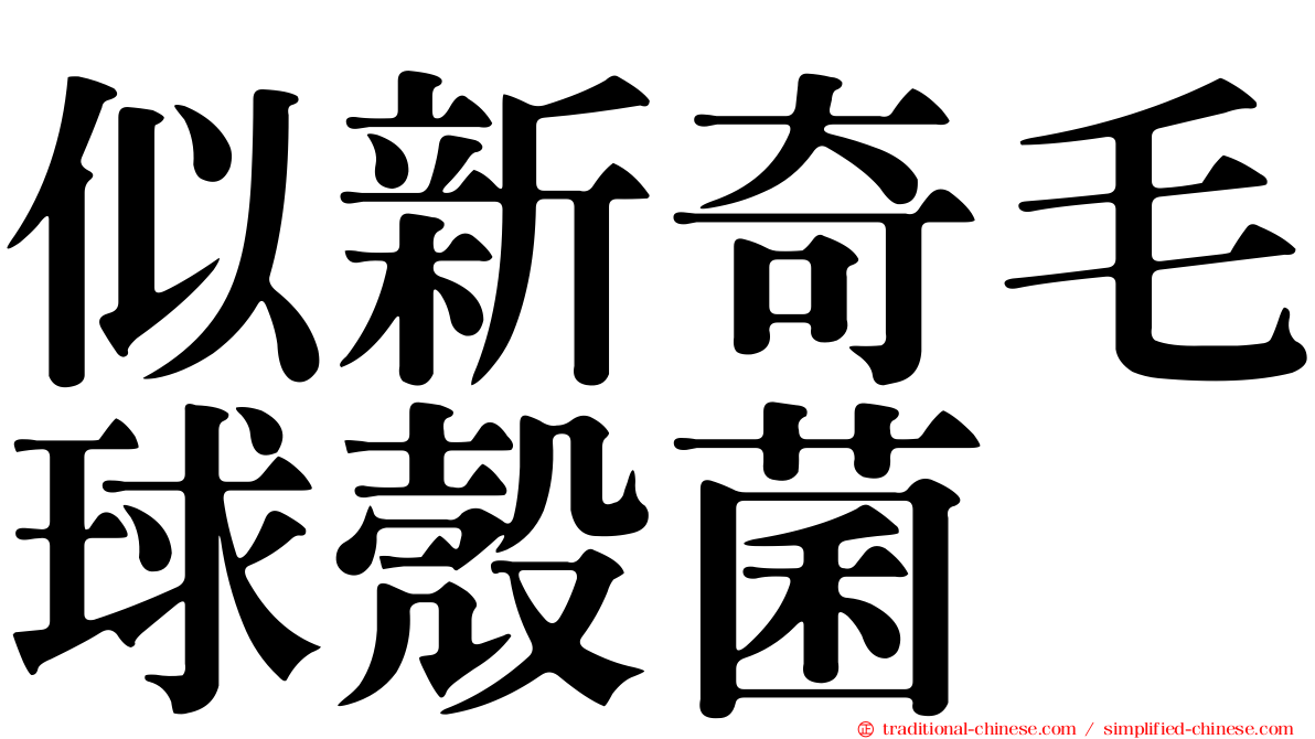 似新奇毛球殼菌
