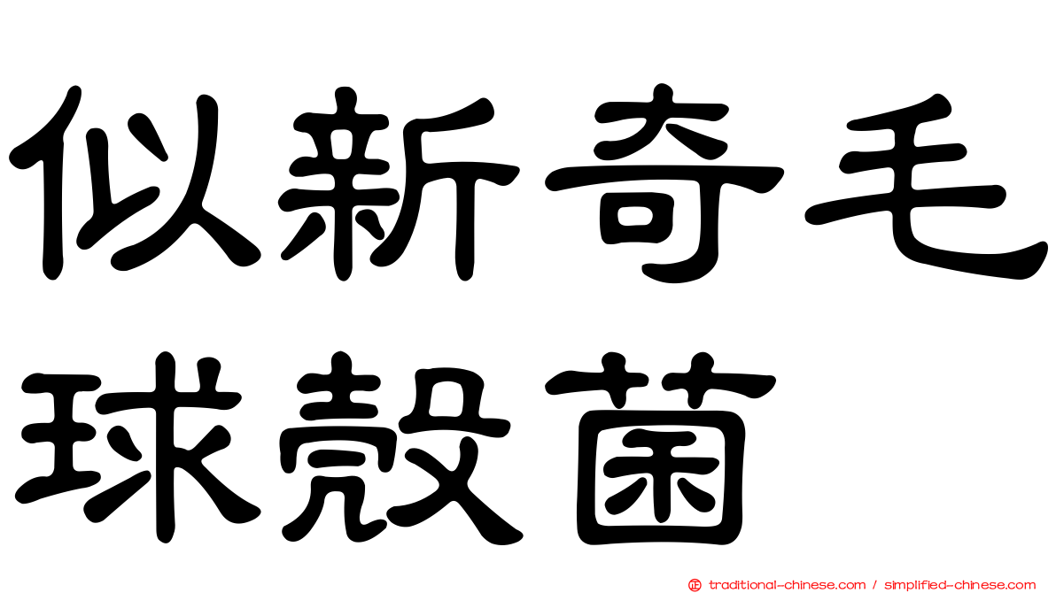 似新奇毛球殼菌