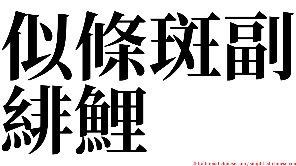 似條斑副緋鯉 serif font