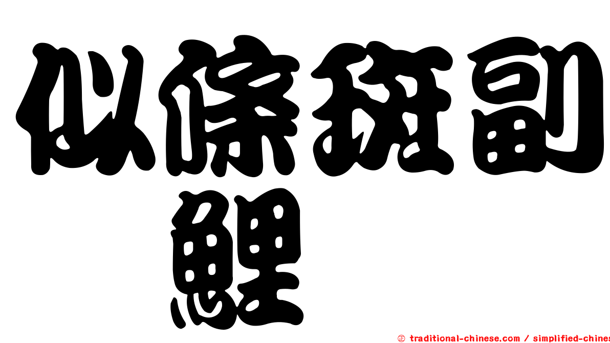 似條斑副緋鯉