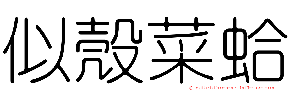 似殼菜蛤