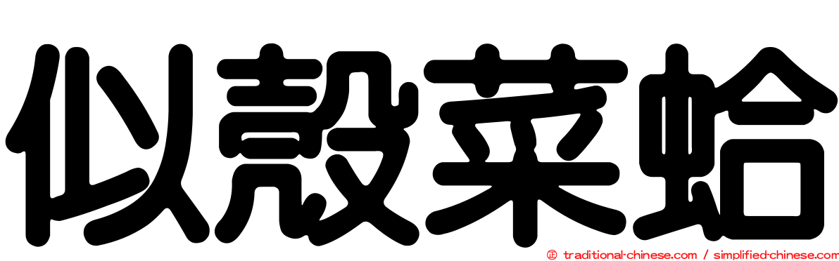 似殼菜蛤