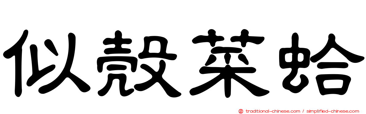 似殼菜蛤
