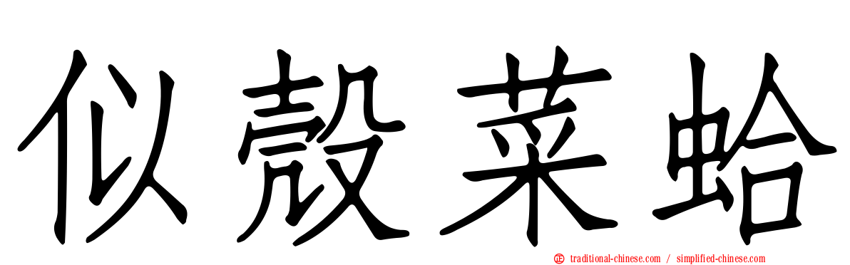 似殼菜蛤