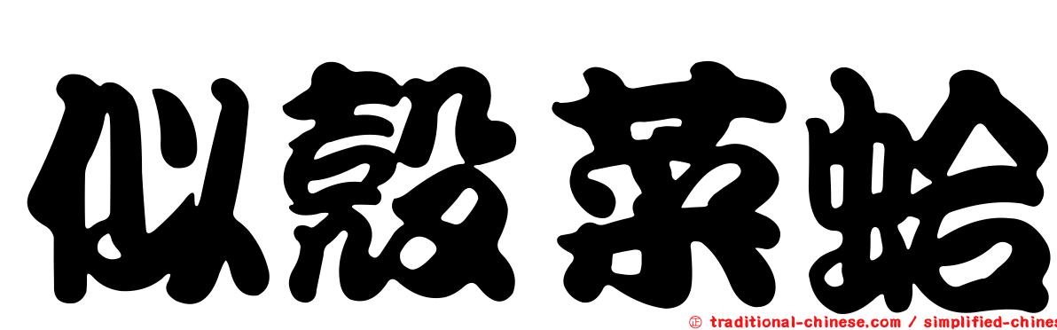 似殼菜蛤