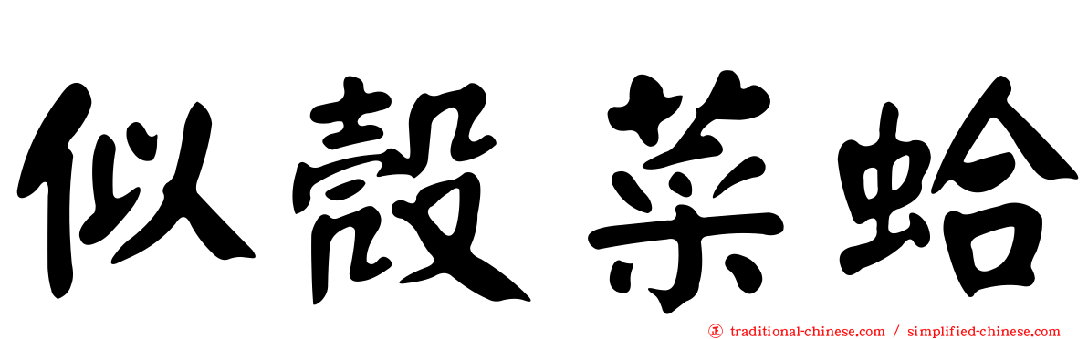 似殼菜蛤