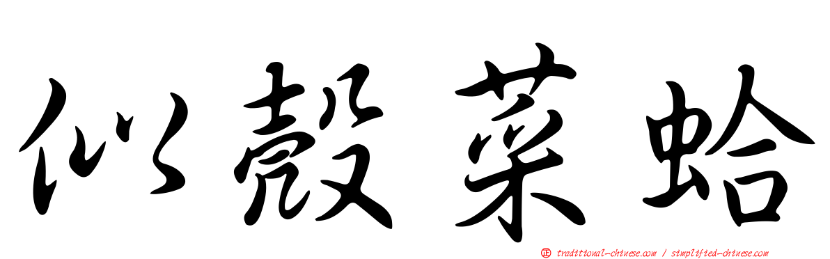 似殼菜蛤