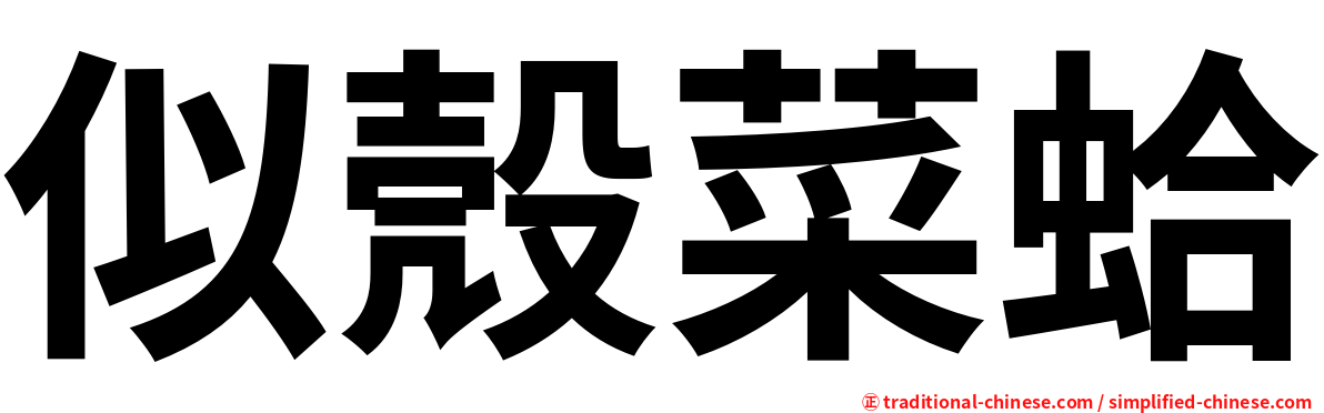 似殼菜蛤