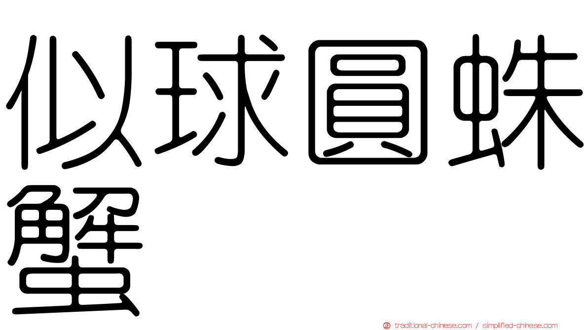 似球圓蛛蟹