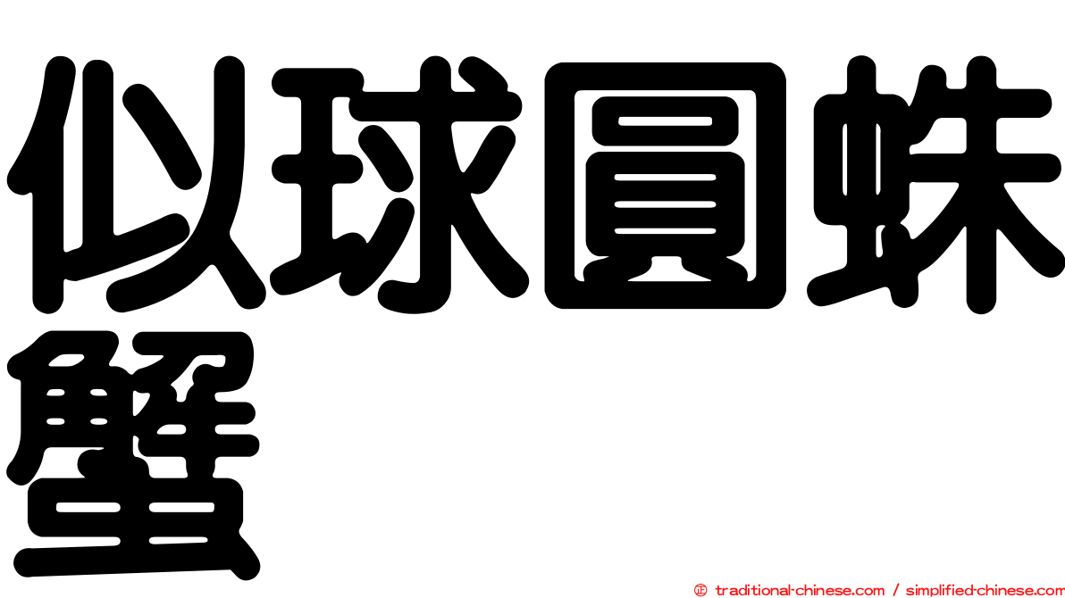 似球圓蛛蟹