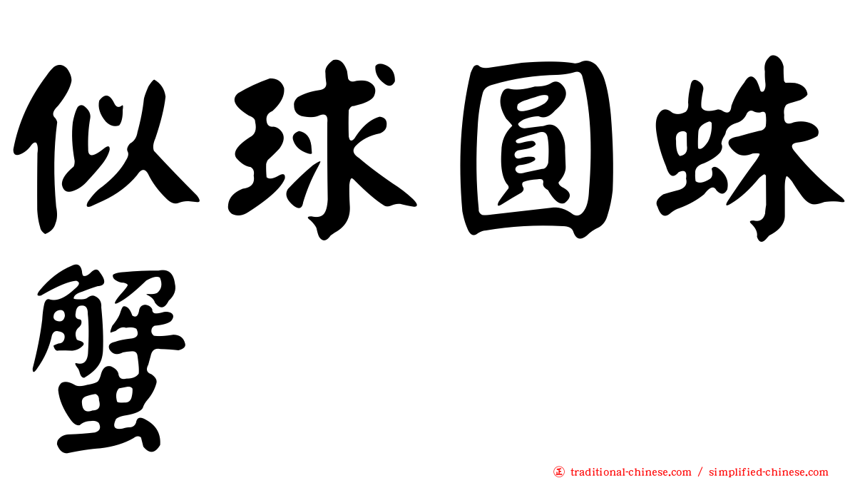 似球圓蛛蟹