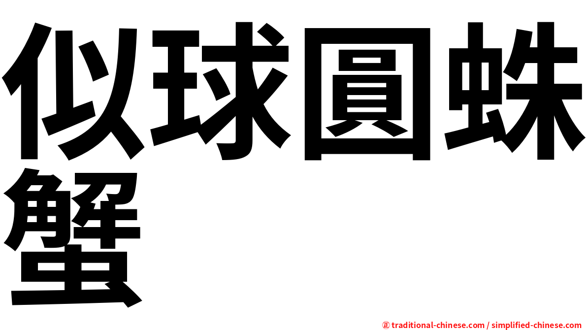 似球圓蛛蟹