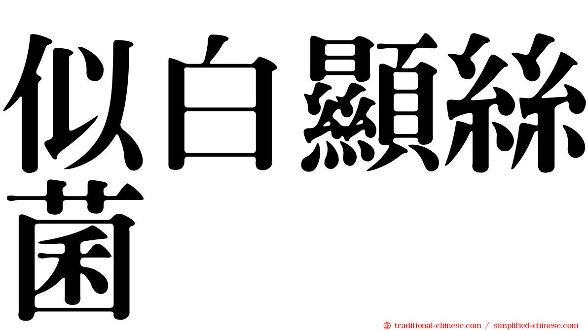 似白顯絲菌