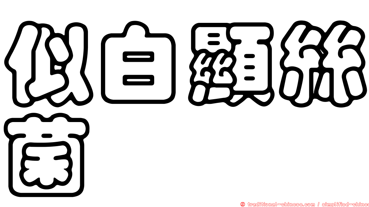 似白顯絲菌