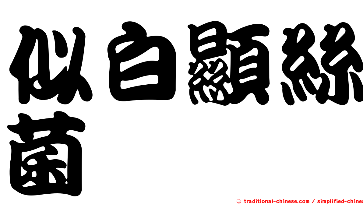 似白顯絲菌