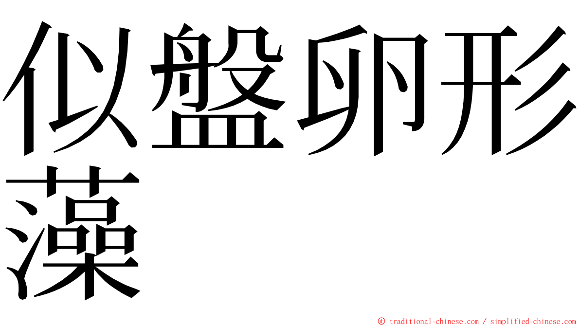 似盤卵形藻 ming font