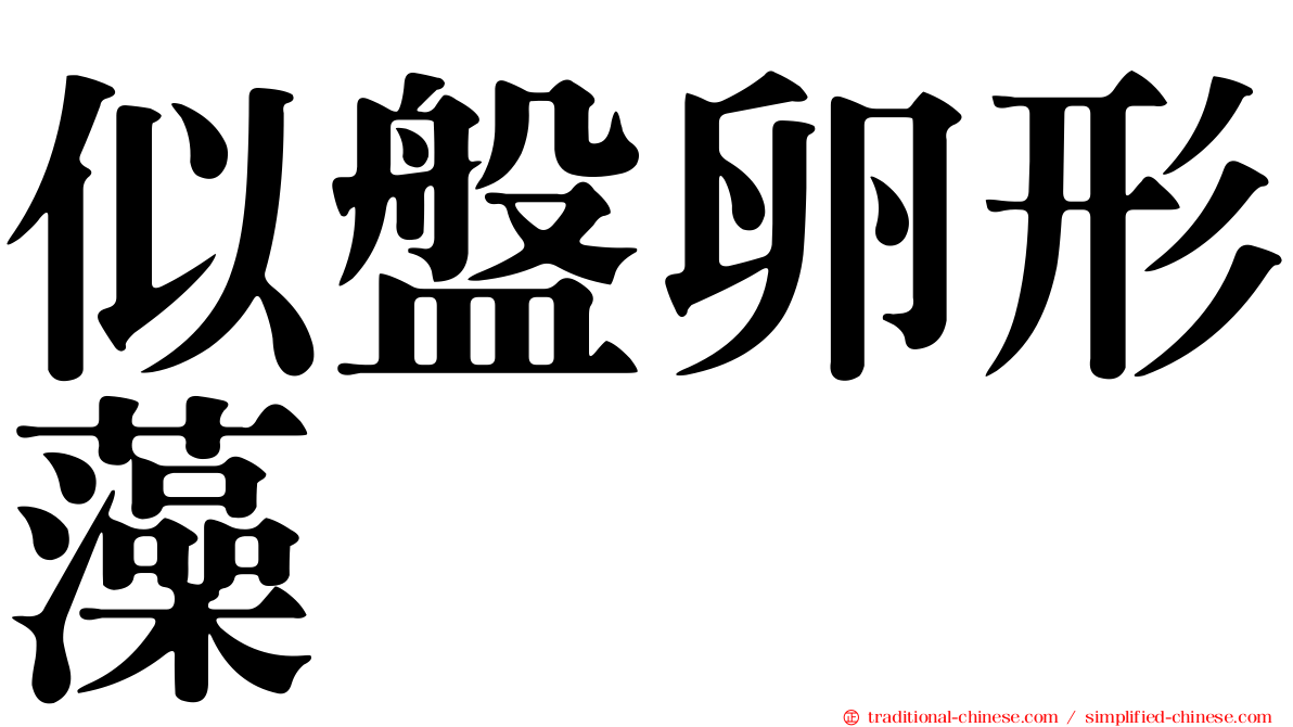 似盤卵形藻