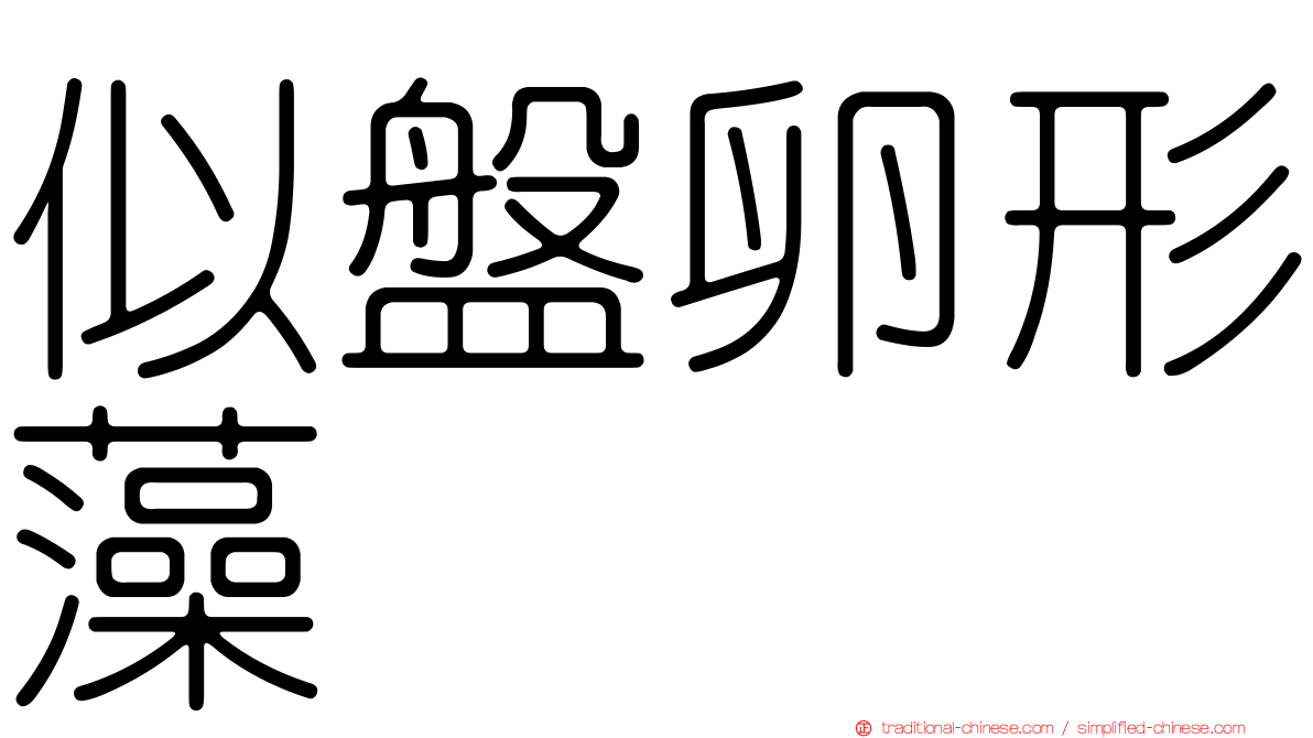 似盤卵形藻