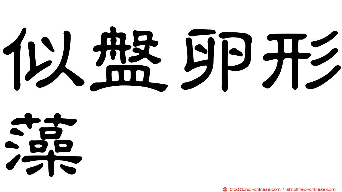 似盤卵形藻