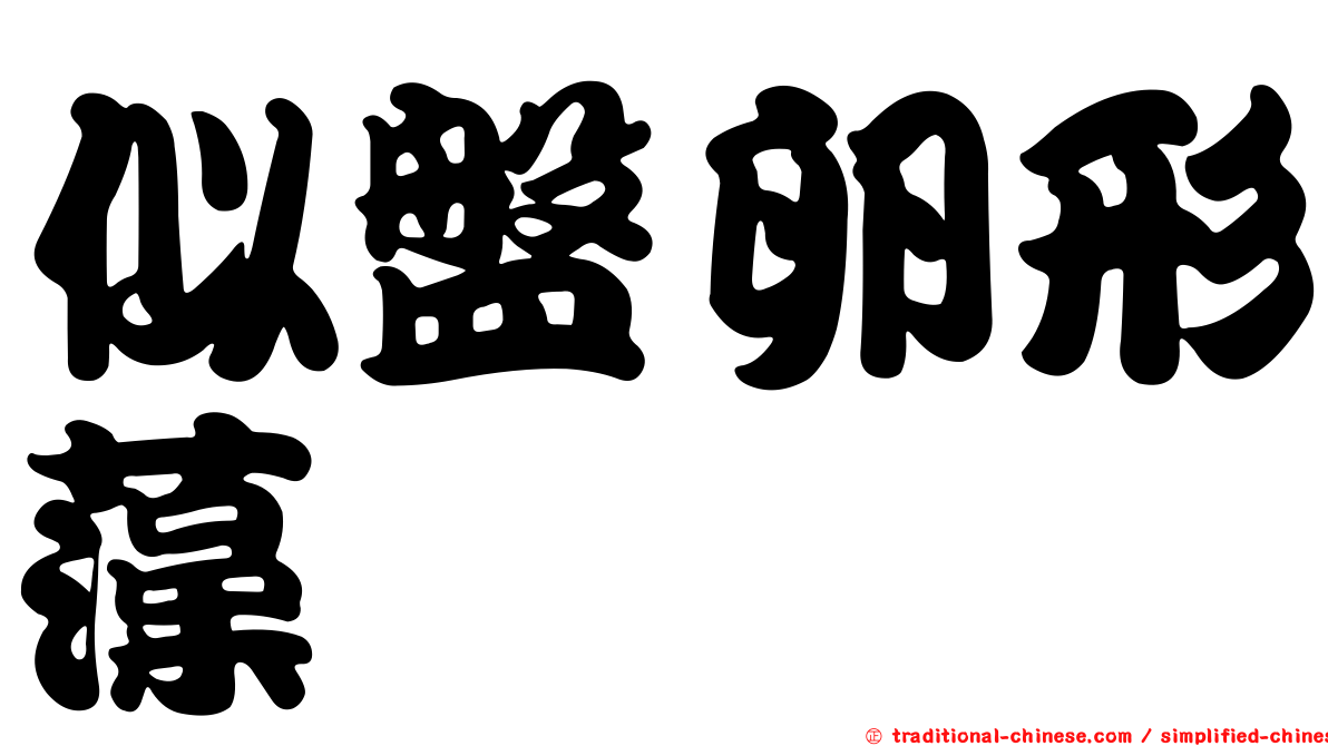 似盤卵形藻