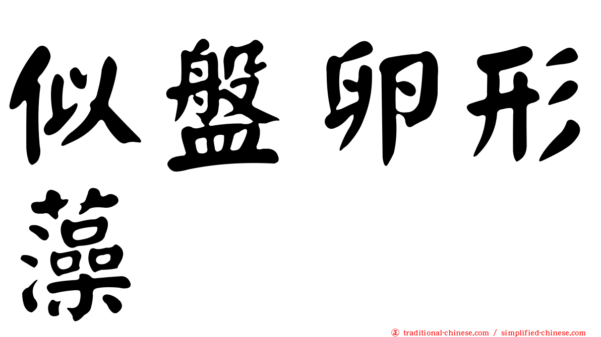似盤卵形藻