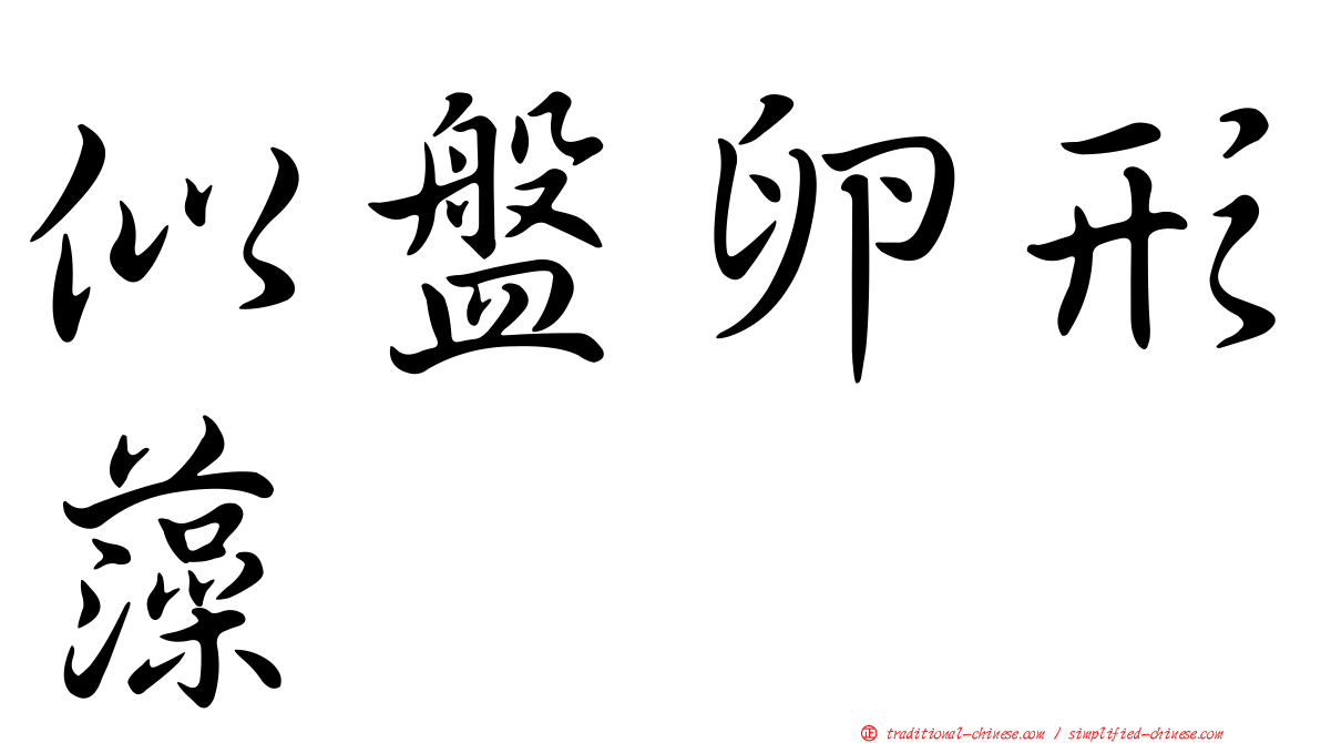 似盤卵形藻
