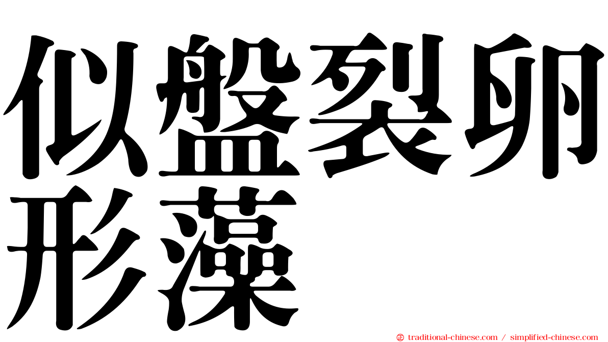 似盤裂卵形藻