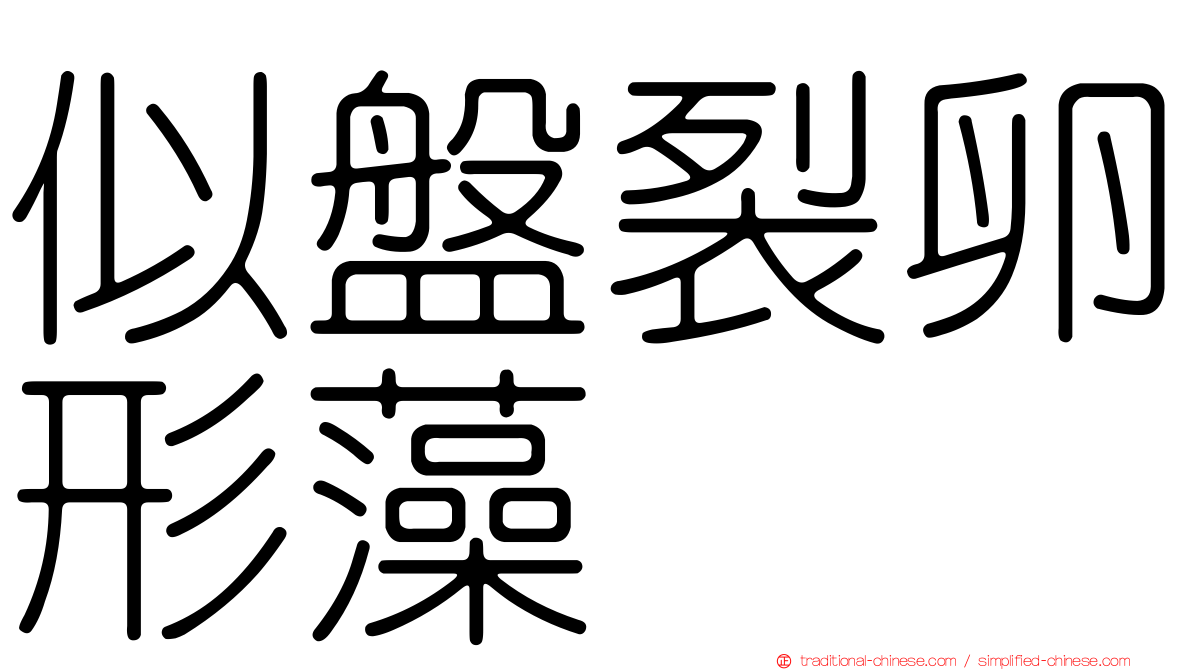 似盤裂卵形藻