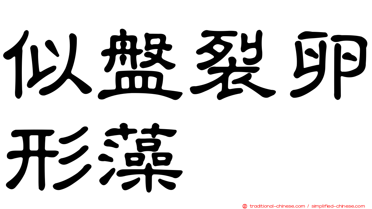 似盤裂卵形藻