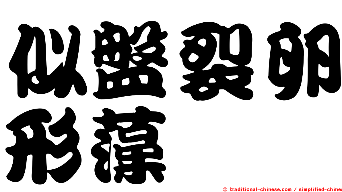似盤裂卵形藻